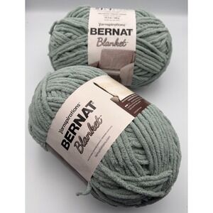 Bernat Blanket Yarn Misty Green 2 Skeins, 320 yds, 10.5 oz,  Same Dye Lot